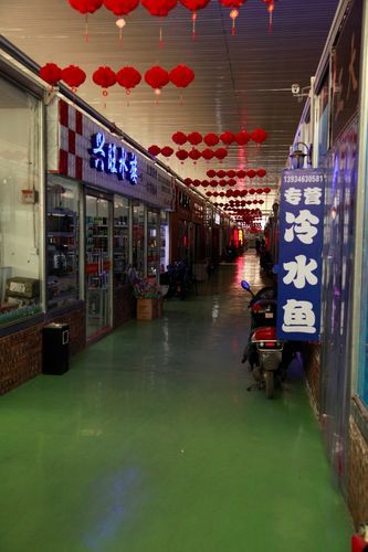 太原紅龍魚市場
