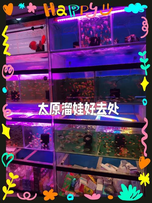 太原紅龍魚市場