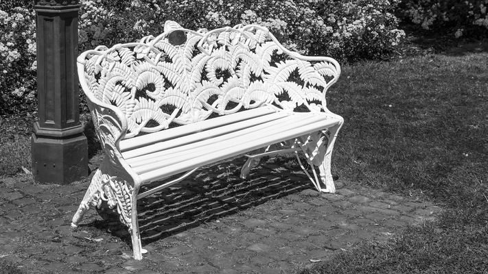 金龍魚白缸養(yǎng)還是黑缸養(yǎng)好一點呢（金龍魚白缸養(yǎng)和黑缸養(yǎng)各有優(yōu)勢）