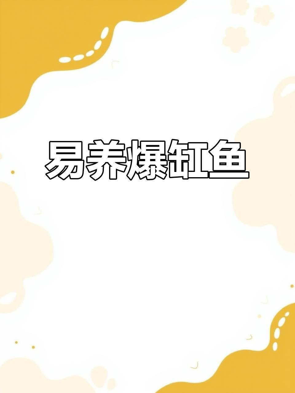 哪種魚最適合新手養殖？