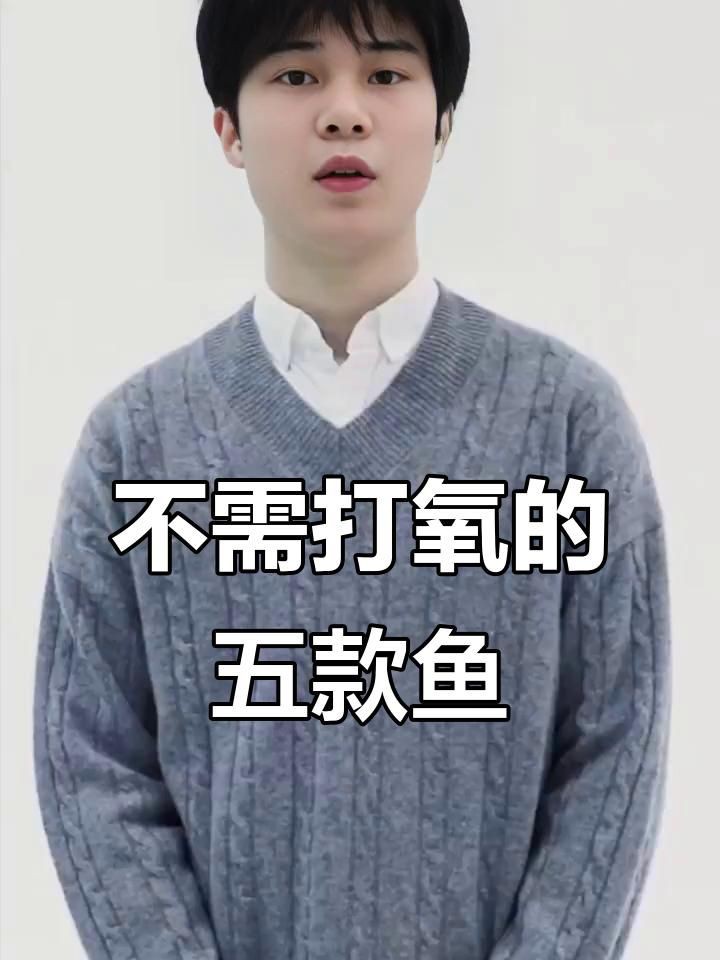 哪種魚最適合新手養殖？