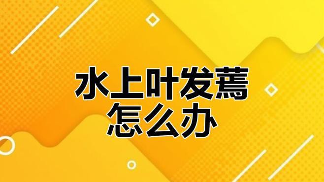 移栽成熟水草時(shí)需要注意什么？