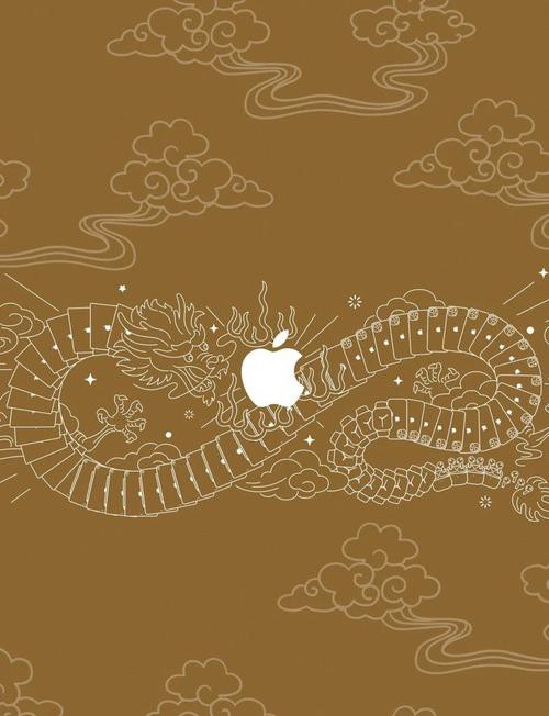 哪里可以找到更多龍壁紙？