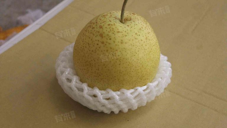 紅龍痛時如何正確食用水果？ 紅龍痛時如何正確食用水果？ 龍魚百科 第5張