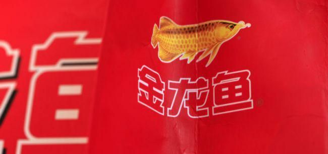 金龍魚中國區總裁年薪，