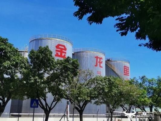 金龍魚中國區總裁年薪，