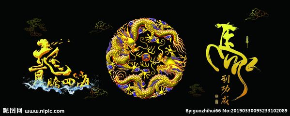 養(yǎng)龍魚魚缸背景圖高清：養(yǎng)龍魚魚缸背景圖