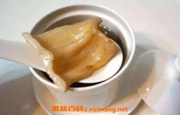 金龍魚的魚膠和黃花魚魚膠哪個更好（金龍魚的魚膠和黃花魚魚膠各有優(yōu)劣，具體哪個更好）