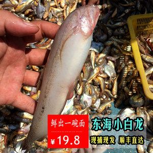 白龍魚能吃嗎：“白龍魚”是否適宜食用，白龍魚是否適宜食用的信息