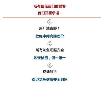 古典龍魚和金龍魚哪個好（古典龍魚和金龍魚哪個好呢？） 古典龍魚和金龍魚哪個好（古典龍魚和金龍魚哪個好呢？） 龍魚百科 第1張