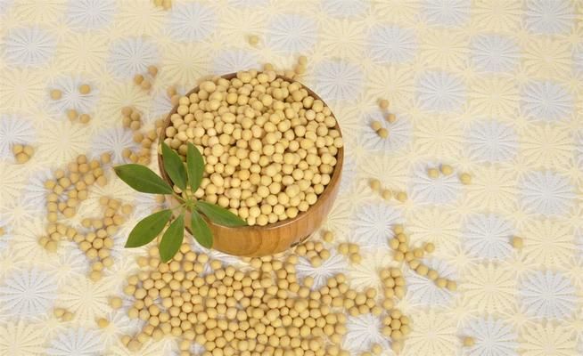 濟南金龍魚銀龍魚回收電話地址（濟南金龍魚銀龍魚回收電話地址在提供的搜索結果中沒有直接信息）