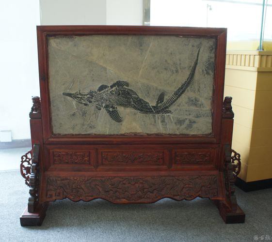 中華金龍魚復原圖片大全大圖