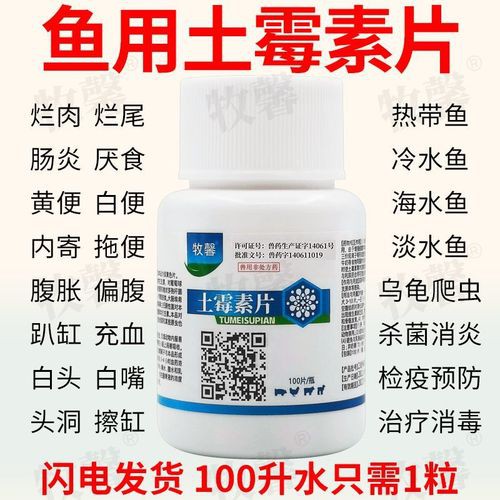 有哪些適合金龍魚的消毒劑？