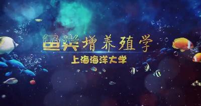 如何選擇性格溫順的混養(yǎng)魚？