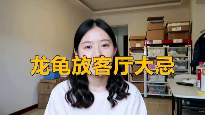 龍龜擺放禁忌有哪些