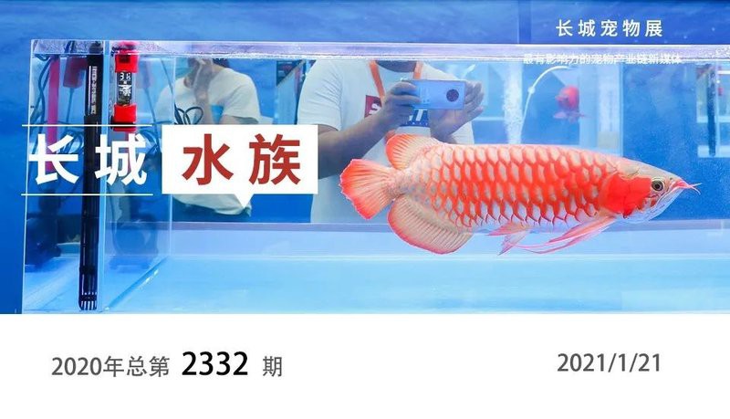 漁村龍魚繁殖場有限公司地址