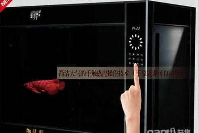 龍魚缸白底好還是黑底好：龍魚缸底色的選擇是許多魚友在養龍時需要考慮的問題