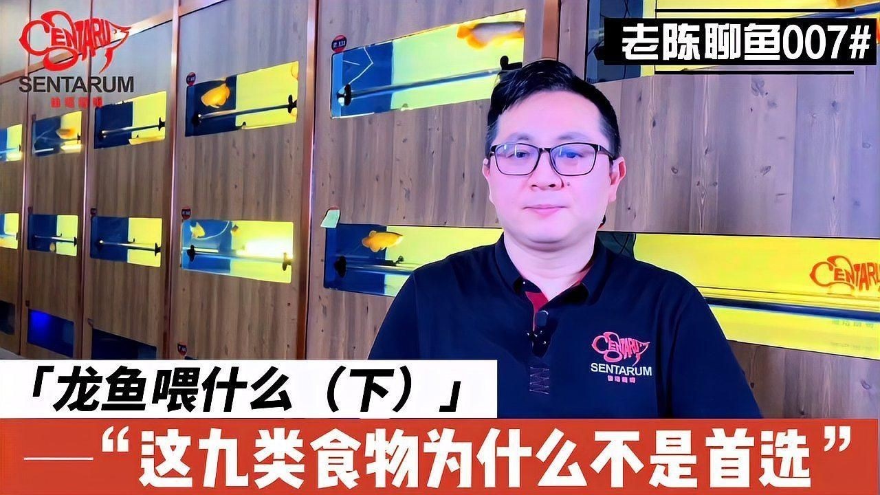 紅龍魚飼料選擇