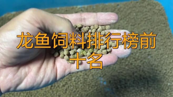 紅龍魚飼料選擇