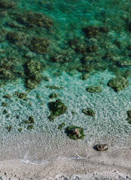 金龍魚魚缸背景圖片大全