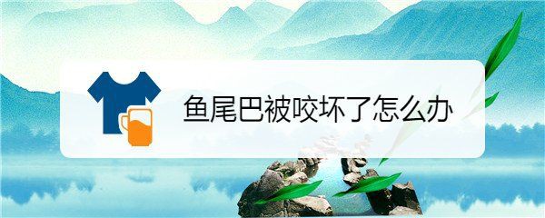 龍魚尾巴被咬爛后多久會恢復