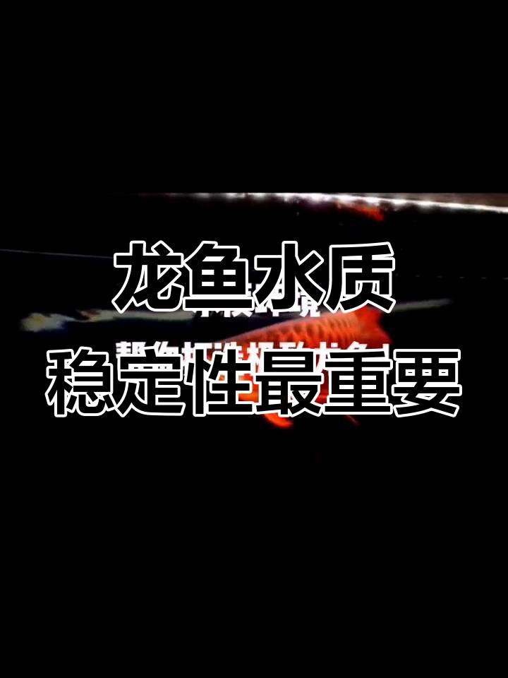 金龍魚養(yǎng)殖需要什么樣的水質(zhì)？