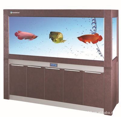 匯龍魚缸使用說明書：關于匯龍魚缸的使用說明書