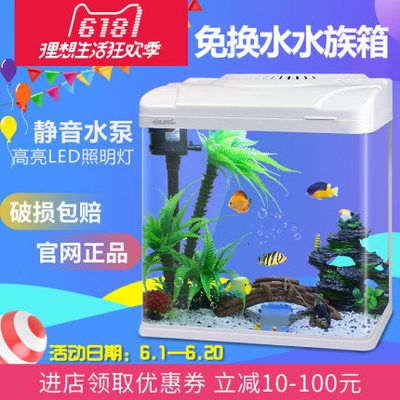 龍魚三個(gè)月不換水可以嗎：養(yǎng)魚可以長(zhǎng)時(shí)間不換水嗎？
