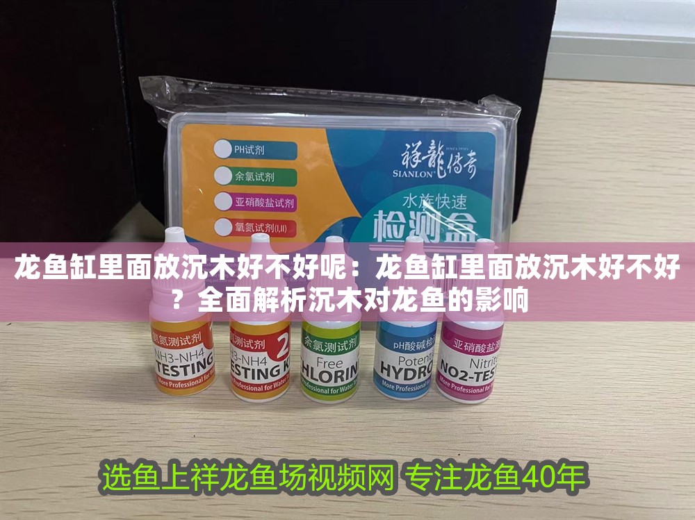 龍魚缸里面放沉木好不好呢：龍魚缸里面放沉木好不好？全面解析沉木對(duì)龍魚的影響