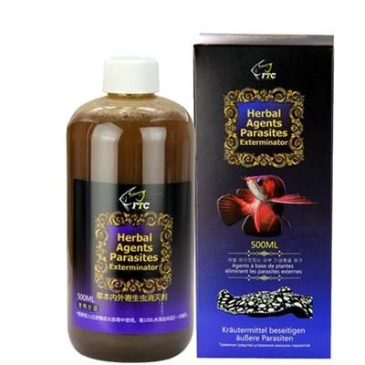 龍魚(yú)散尾多久能好：龍魚(yú)散尾后如何正確用藥