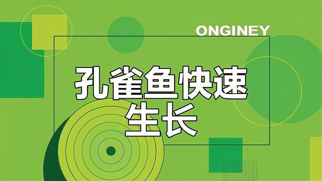 如何判斷孔雀龍魚的年齡？