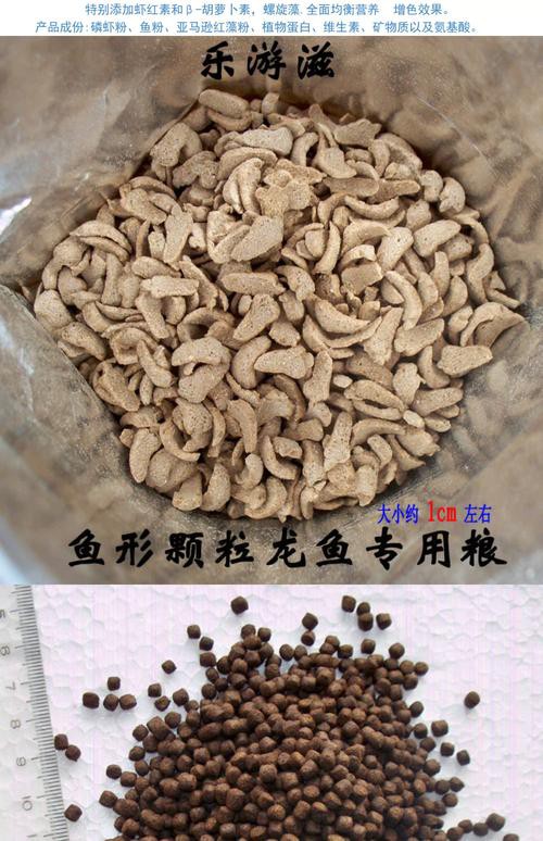 小銀龍魚怎么養及喂養技巧圖解