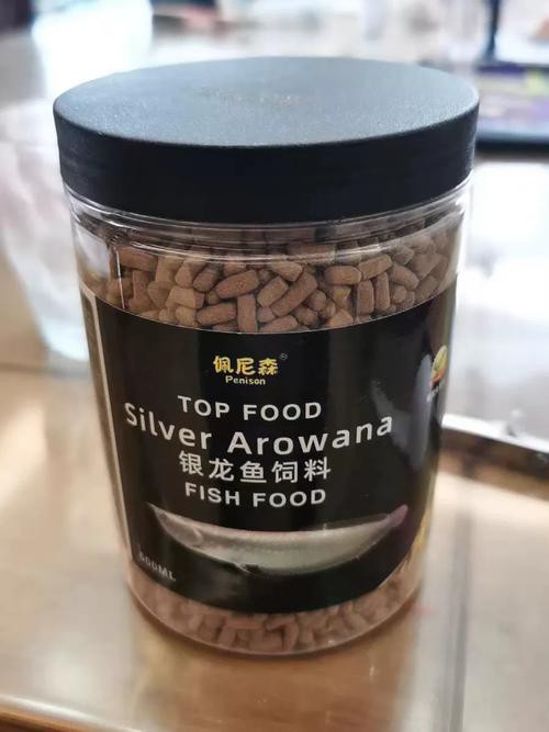 小銀龍魚怎么養及喂養技巧圖解