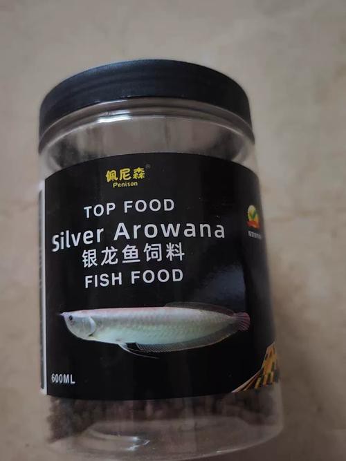 小銀龍魚怎么養及喂養技巧圖解