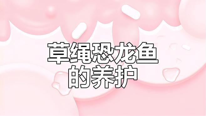 小恐龍魚吃什么食物好