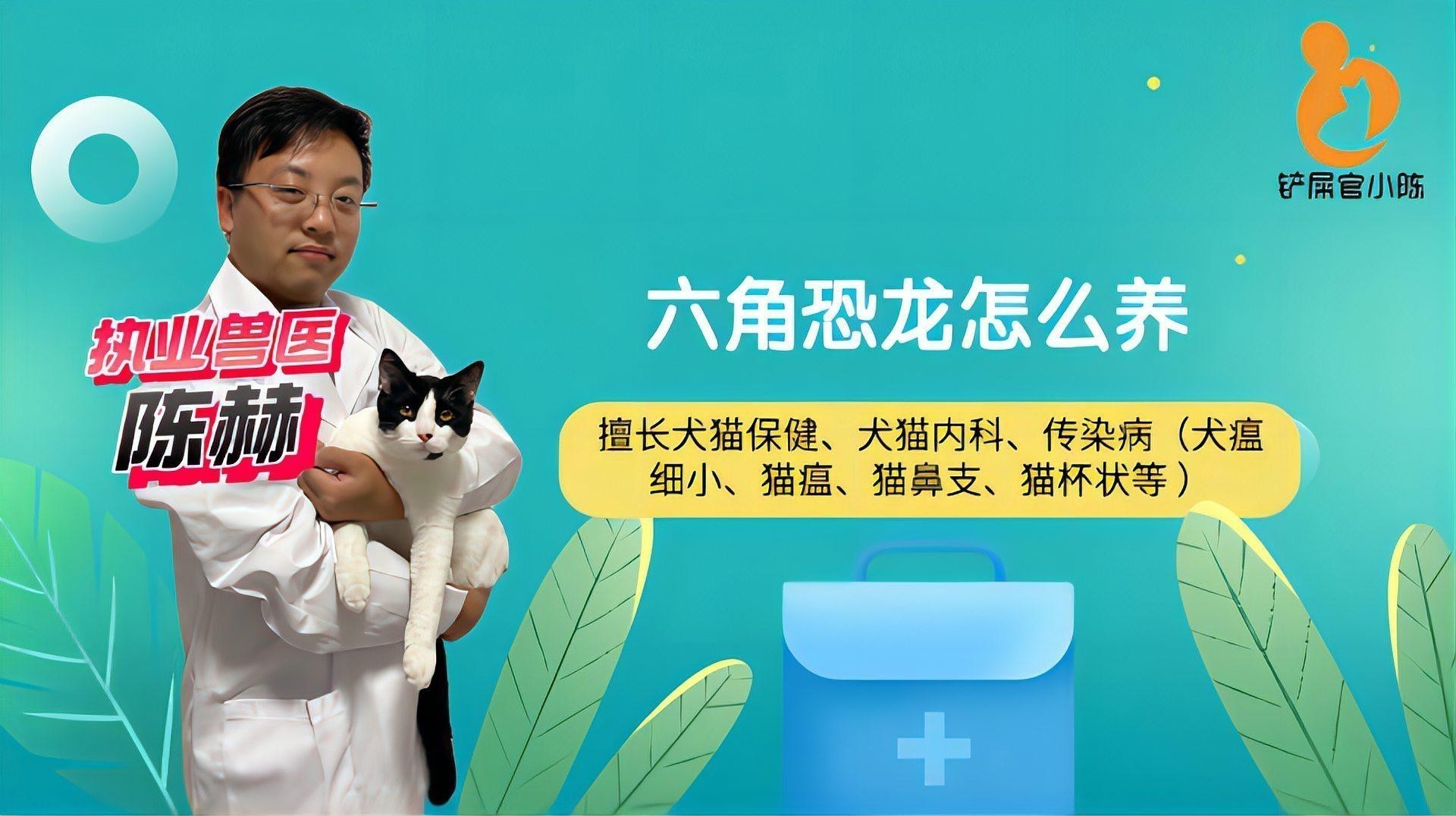 小恐龍魚吃什么食物好
