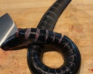 盤龍魚怎么改刀（盤龍魚的改刀方法） 盤龍魚怎么改刀（盤龍魚的改刀方法） 龍魚百科 第2張