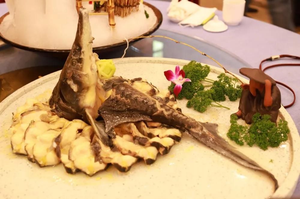 盤龍魚怎么改刀（盤龍魚的改刀方法） 盤龍魚怎么改刀（盤龍魚的改刀方法） 龍魚百科 第5張