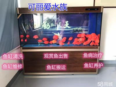可麗愛魚缸售后維修電話東營店地址（可麗愛魚缸官網售后查詢入口）