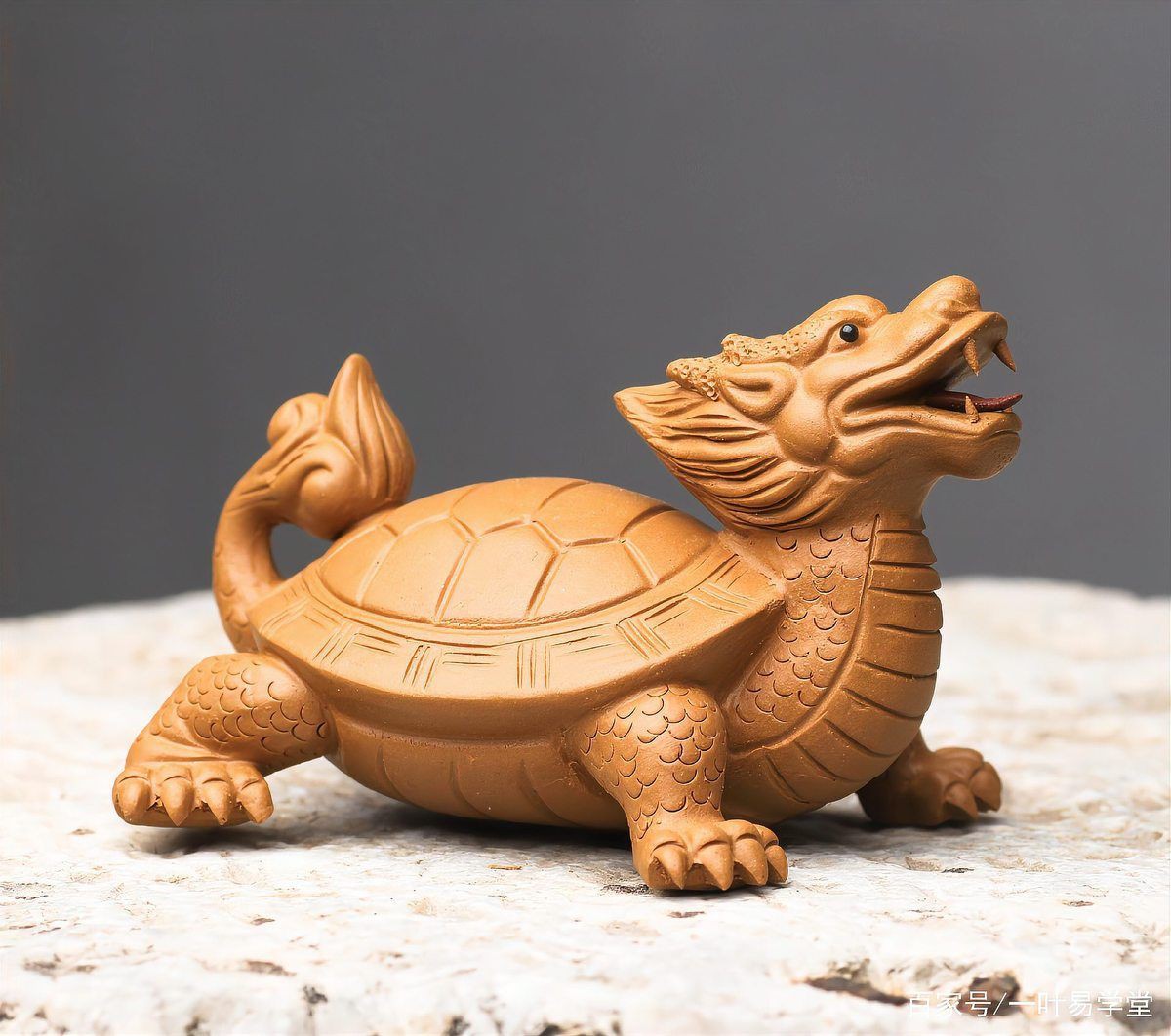 龍龜是陰氣最重的東西嗎