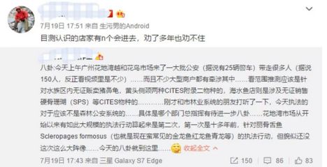 龍魚商家被抓怎么辦，龍魚商家可以通過法律訴訟維權(quán)：龍魚商家被抓了怎么辦？