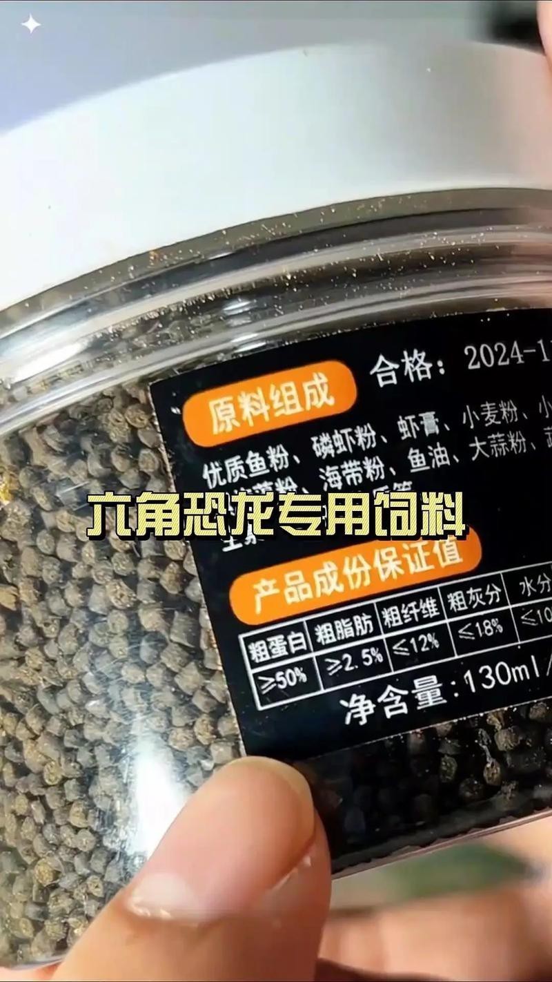 恐龍魚吃什么魚糧比較好