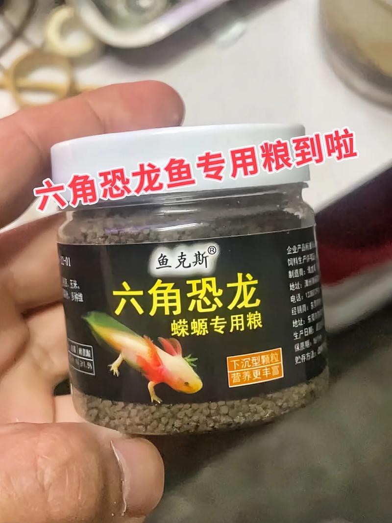 恐龍魚吃什么魚糧比較好