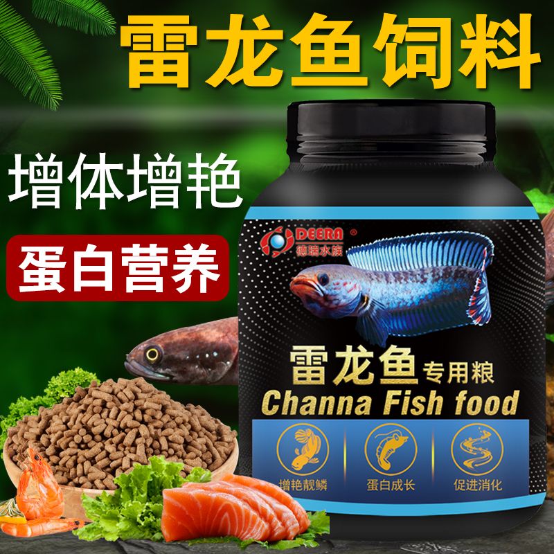 雷龍魚吃什么飼料又便宜又好（雷龍魚飼料品牌性價比排行）