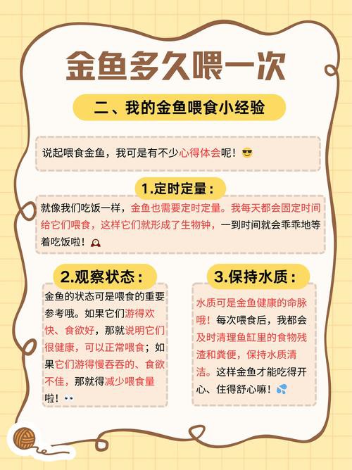 金龍魚幾天喂一次比較好？
