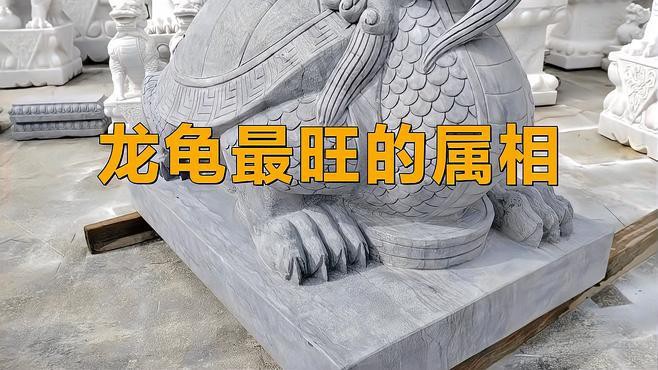 龍龜適合哪些生肖佩戴？
