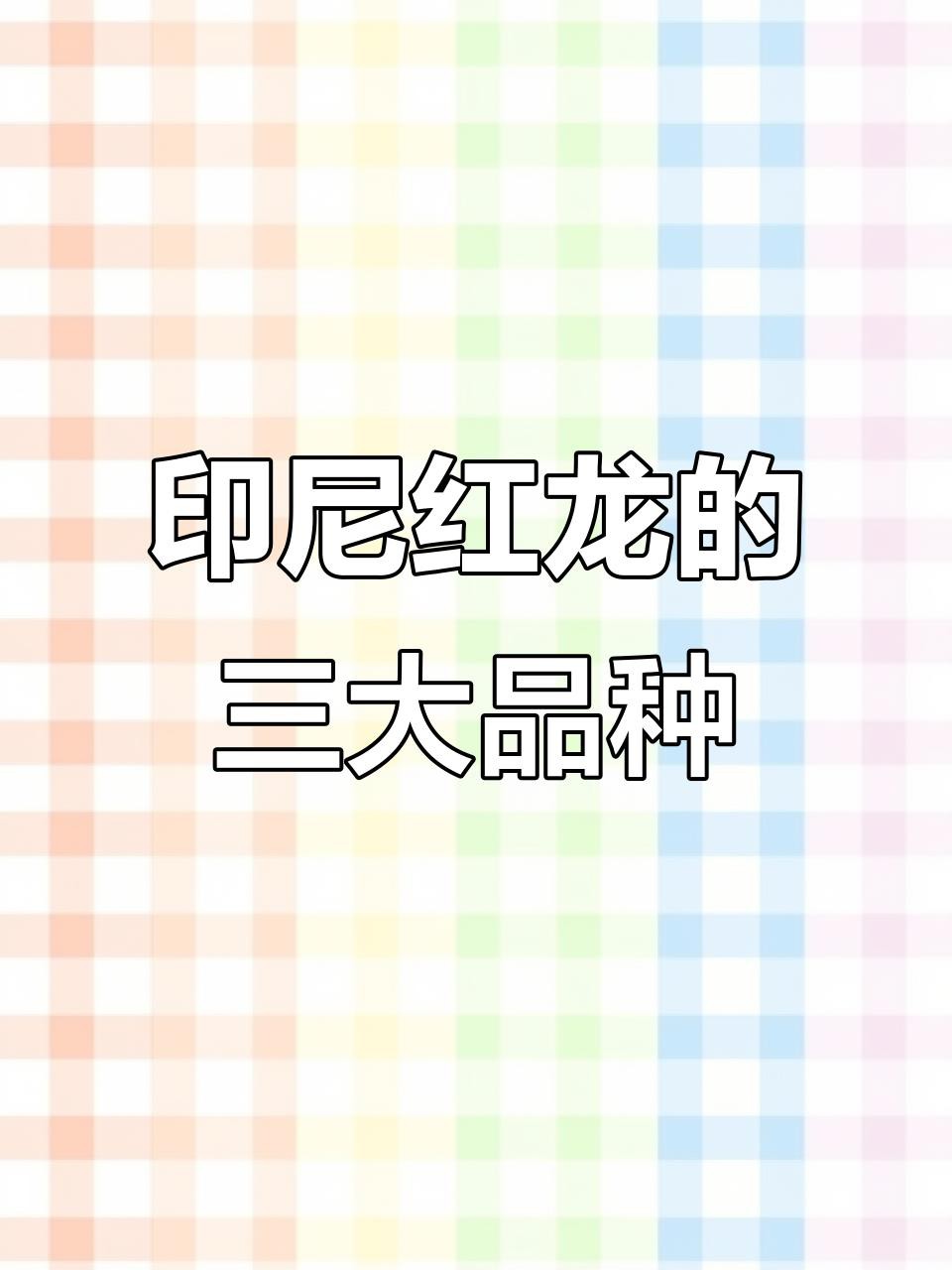 印尼紅龍魚的市場價格如何