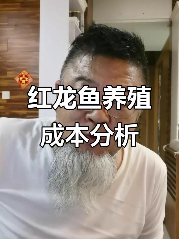 印尼紅龍魚的市場價格如何