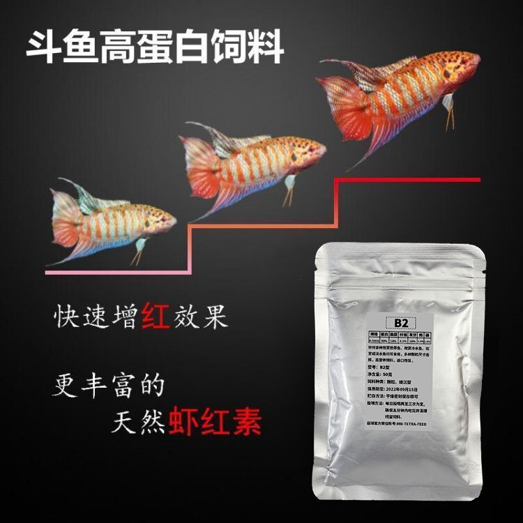 龍魚苗哪里有賣啊多少錢：龍魚苗哪里有賣啊？全面解析購買渠道與注意事項