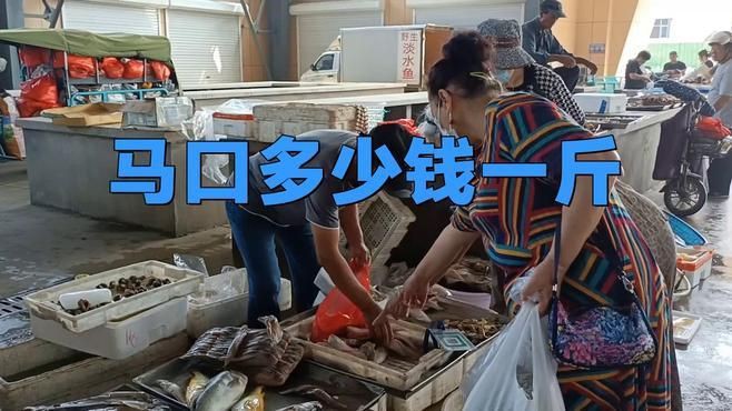 馬口魚市場價多少錢一斤